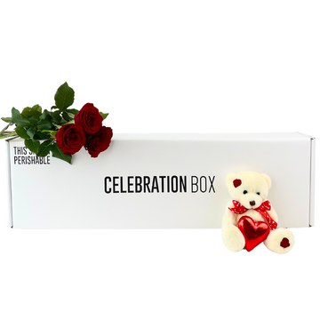 Valentines Teddy, Roses and Chocolate Gift Box | Valentines Day Gifts | NZ Wide Delivery | Celebration Box NZ