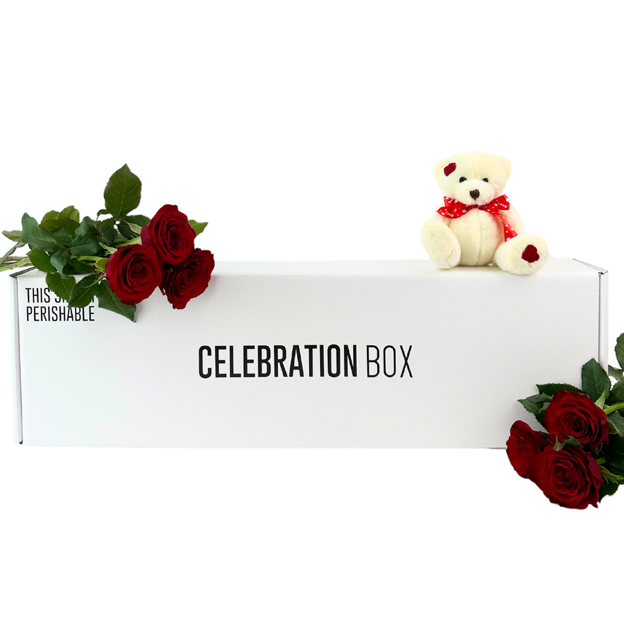 Valentines Teddy, Roses and Chocolate Gift Box | Valentines Day Gifts | NZ Wide Delivery | Celebration Box NZ